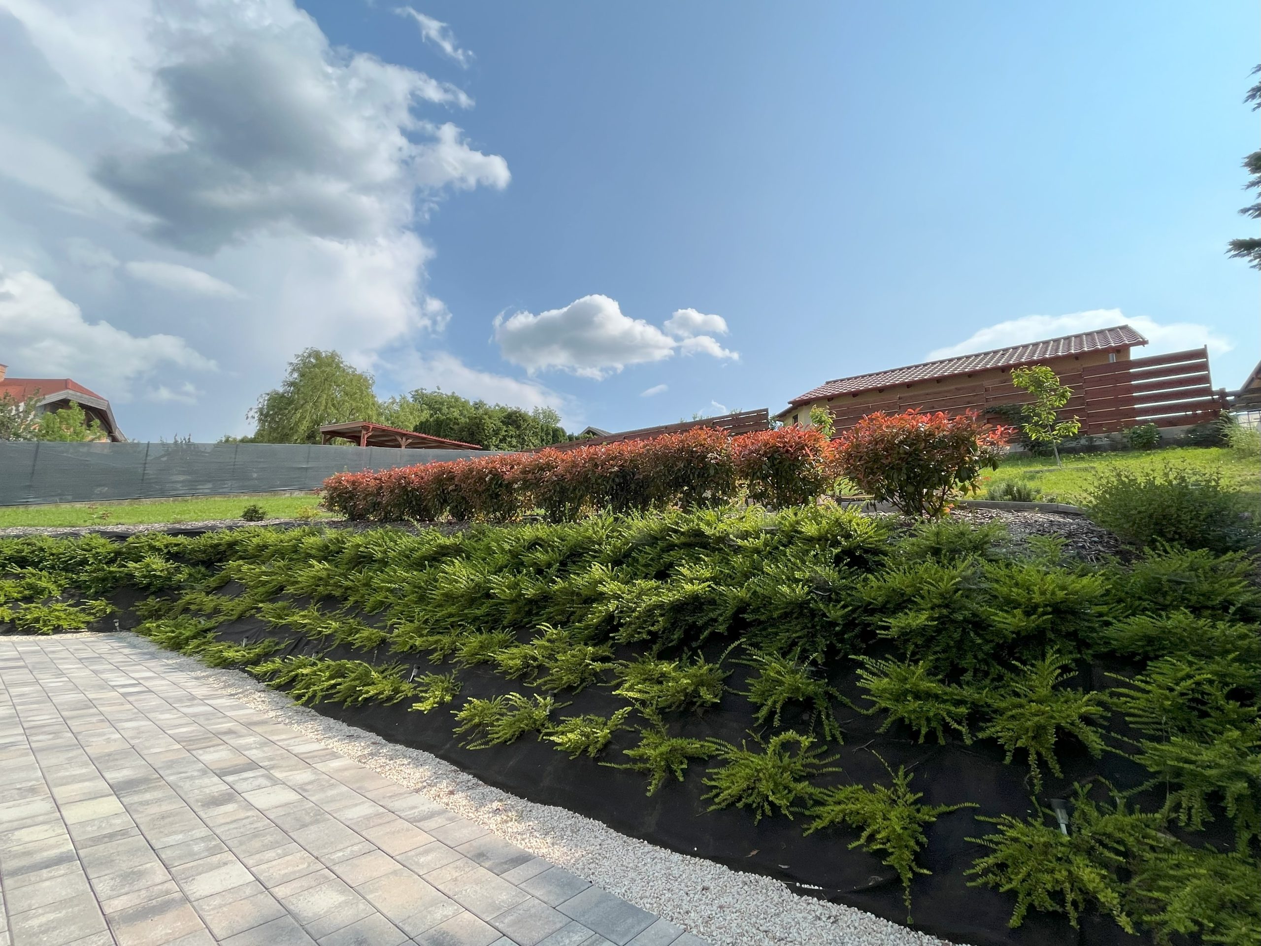 rézsű futónövényekkel beültetése, kialakítása